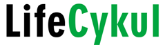 Life Cykul